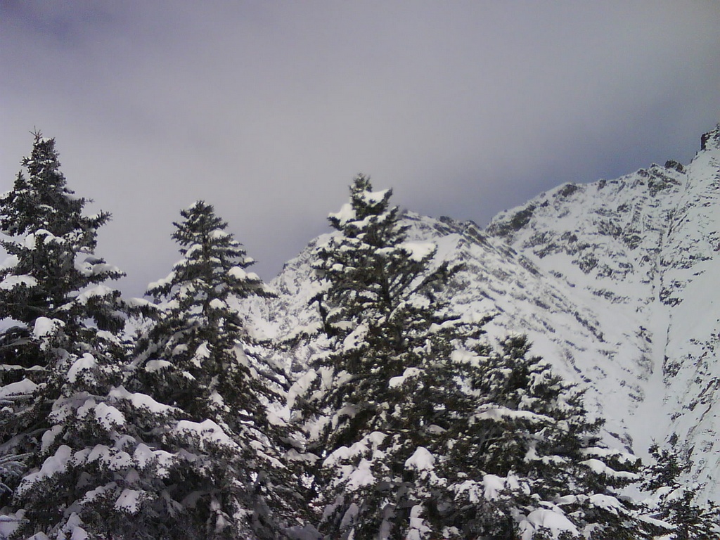 gal/200902_Paysages/200902S123piau_05.JPG