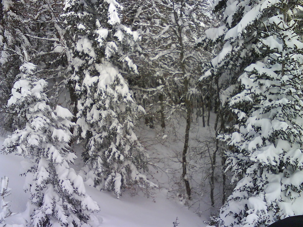 gal/200902_Paysages/200902S123piau_06.JPG