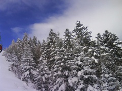 gal/200902_Paysages/_thb_200902S123piau_04.JPG