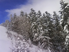 gal/200902_Paysages/_thb_200902S123piau_08.JPG