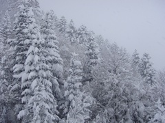 gal/200902_Paysages/_thb_200902S123piau_10.JPG