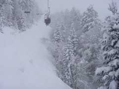 gal/200902_Paysages/_thb_200902S123piau_11.JPG